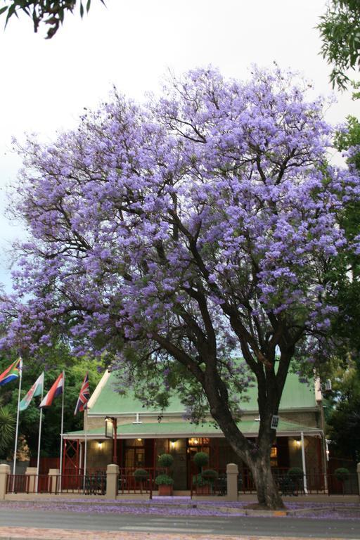 88 Baron Van Reede Guesthouse Oudtshoorn Zewnętrze zdjęcie