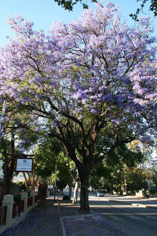 88 Baron Van Reede Guesthouse Oudtshoorn Zewnętrze zdjęcie